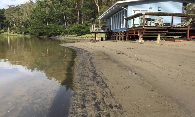 McDonald Apartment | Joe's Studio on Tomales Bay, Bleu Bay Cove, Marshall, Pt Reyes National Park
