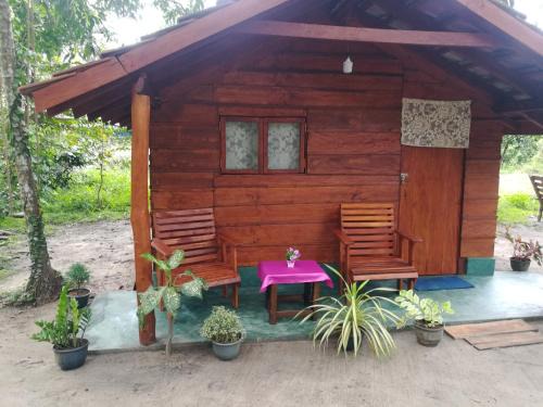 Boossa Other | Jungle Paradise