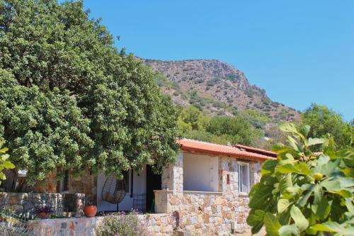 Datca House | Karaincirevleri Müstakil Taş Ev
