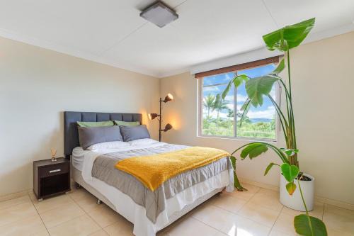 Auchenflower Apartment | Kingsford Apartments Auchenflower
