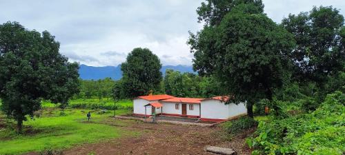Murbad Other | Kittu's Farm