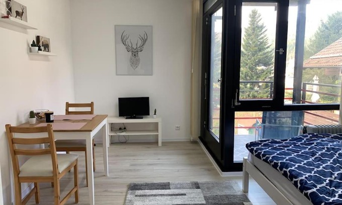 Bad Wildbad Apartment | Kleines Einzimmer-Apartment 23