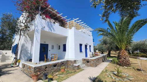 Platis Gialos Apartment | Klimis apartments