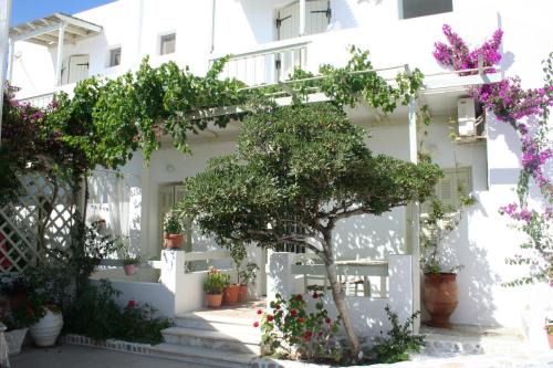 Antiparos Hotel | Korali Hotel