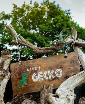 Pokhara Resort | Krazy Gecko Resort