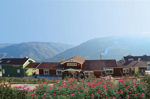 Xylokastro-Evrostina House | Ktima Noosfera Wellness & Retreat Center