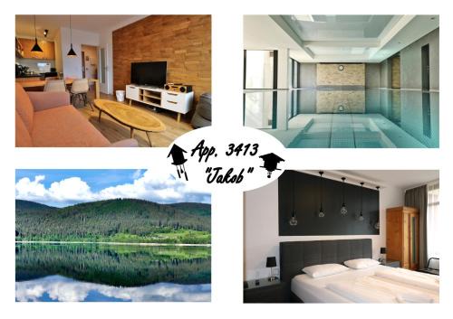 Schluchsee Apartment | Kurhotel Schluchsee - App 3413 - Jakob - mit Indoorpool, Schluchsee
