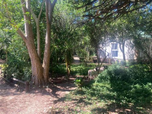 Port Elizabeth Apartment | La Cabane Garden Cottage