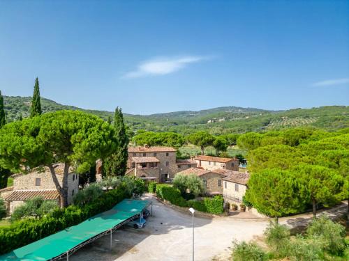 Tuoro sul Trasimeno House | La Casa Colonica wine and oil