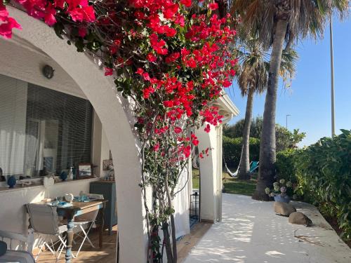 Maddalenedda Bed & Breakfast | La Casa di Nina