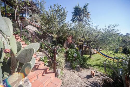 Cerri Bed & Breakfast | La Fattoria di Nonna Eugenia