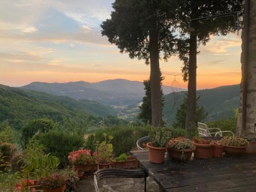 Dicomano Bed & Breakfast | La Felce e il Mirtillo