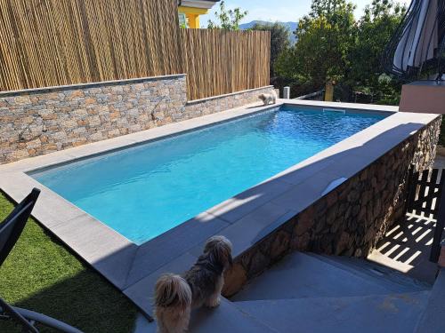 Ricco del Golfo di Spezia Apartment | La Fontanella Apartment