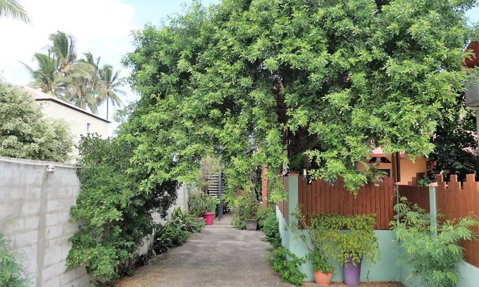 Saint-Louis Apartment | La Kaz à l'Étang - Your Holiday Rental on Reunion Island