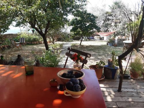 Forcalquier House | La maison de Frida
