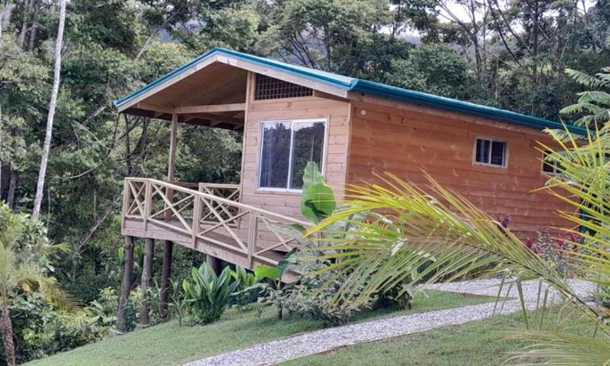 Ballena House | Lado Natura