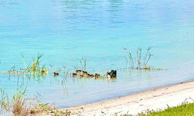 Avon Park House | Lake Denton’s Lakeside Getaway ll Spring Fed Lake, 15 miles to Sebring Raceway