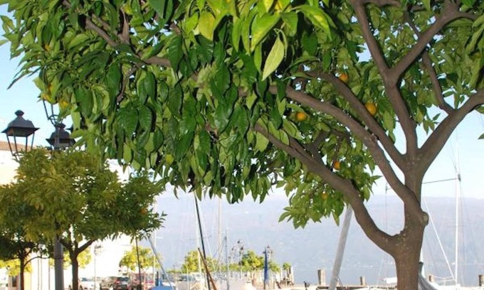 Gargnano Apartment | Lake Garda Piazza Apartment - St Loe
