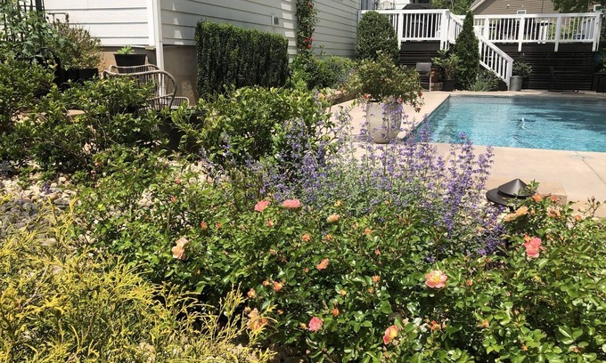 Wesley Chapel House | Large family friendly home with private pool