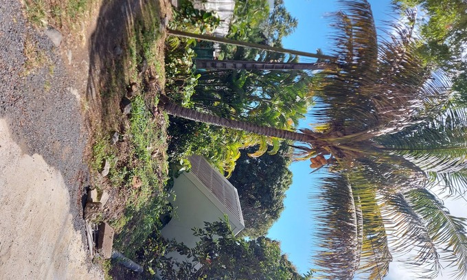 Le Brule House | LARGE T3 IN HOUSE - INDIAN OCEAN VIEW