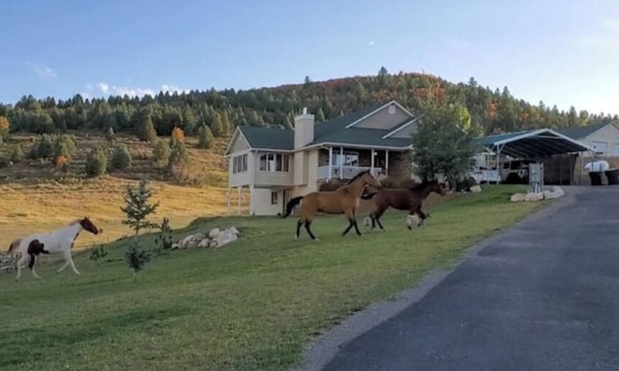 Lava Hot Springs House | Lava Hot Springs Country Staynn