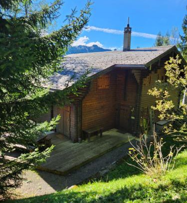 Ormont-Dessus Ski Chalet | Le Banhaut