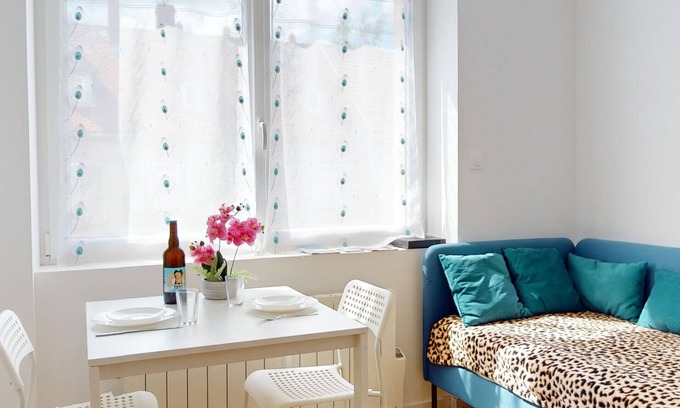 Quartier Saint-Leon Apartment | Le Charme Colmarien