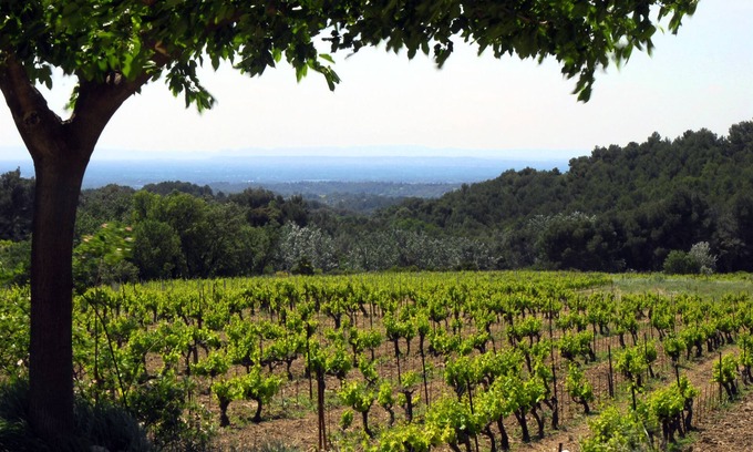 Vacqueyras House | LE CLOS Gîte at the foot of the Dentelles de Montmirail