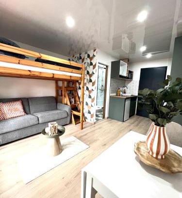 Jaunay-Clan Apartment | Le cosy du Futuroscope
