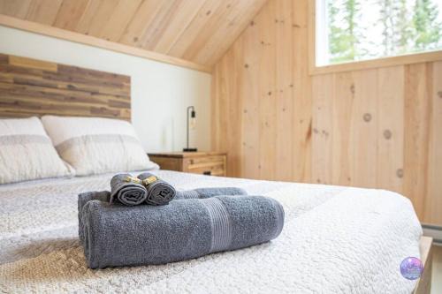 Notre-Dame-de-la-Merci Ski Chalet | Le lion-SPA&Sauna,Billard&Arcade