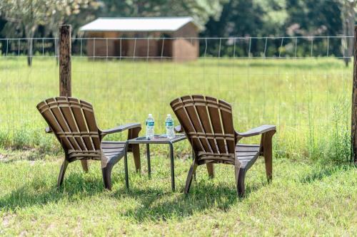 Ocala House | Lemonade Acres, Where Horses Stay for Free!