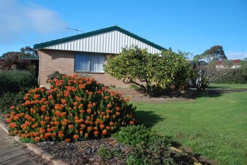 Brownlow Ki Apartment | Lemontree Cottage