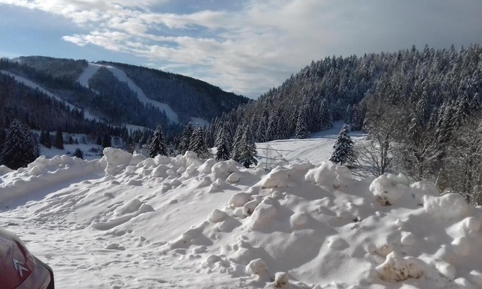 La Bresse Apartment | Les feignes cerfdoré