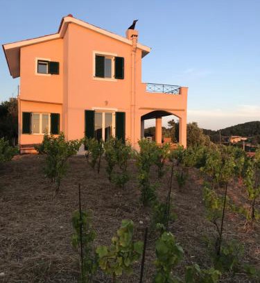 Vilatoria House | Les Oliviers Villa with Sea view on Petani Beach