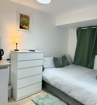 Woolwich Common House | Light & Lamp, En-Suite Studio, in Woolwich