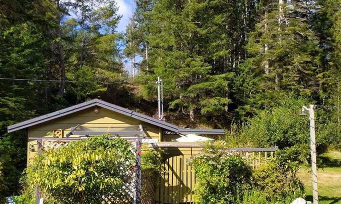 Madeira Park Cabin | Lily Lake Rock Cabin surrounded by nature