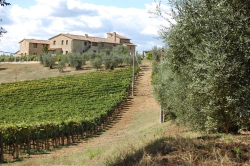 Barberino Val d'Elsa House | Linearis Holiday House
