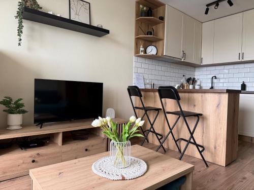 Liptovsky Mikulas Apartment | Liptov 4you