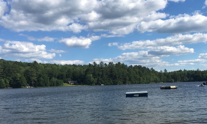 Croydon House | Little Cabin Retreat Waterfront Access/Dog Welcome