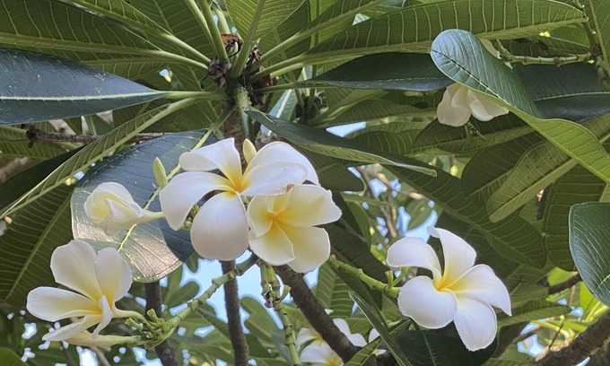 Rapid Creek Apartment | Live like a local minutes from the beach