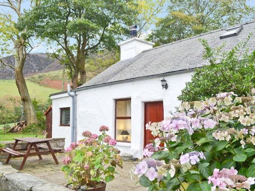 Rhyd-y-clafdy House | Llwyn Y Brig Isaf