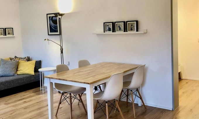 Mainz-Bingen Apartment | Loft 1 - 45 sqm/apartment, shower, WC - Oppenheim Lofts