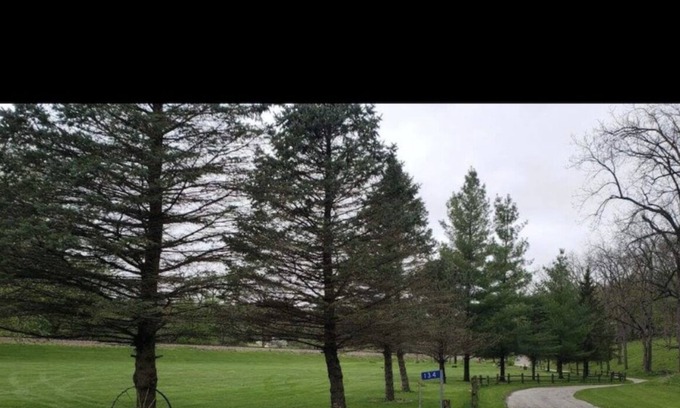 McGregor Cabin | Looking for a nice secluded area away!!!