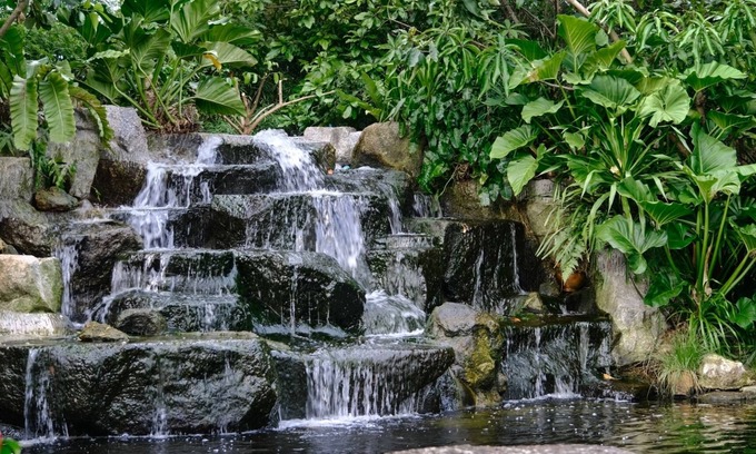 Chalong Villa | Lush Inn Phuket