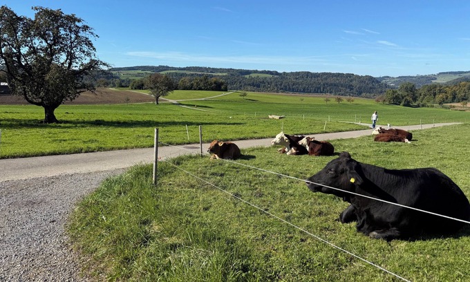 Dietikon District Condo | Lux Duplex apartment with Sauna & Cold plunge 10 mins from Zürich city