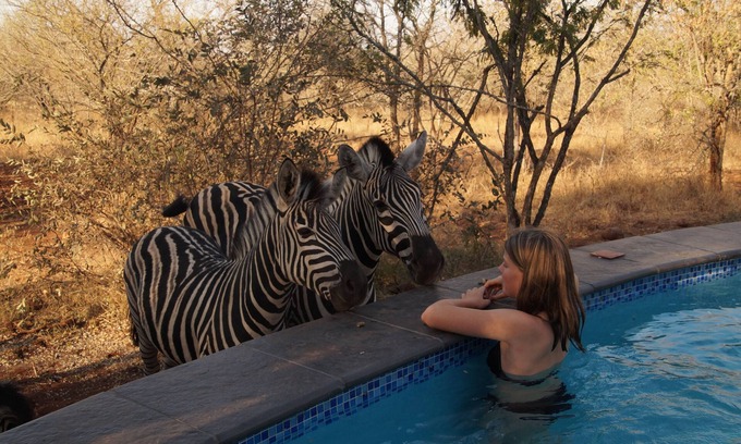 Marloth Park Villa | Luxe Afrikaanse bushvilla met verwarmd zwembad (grenst aan zuiden Krugerpark)
