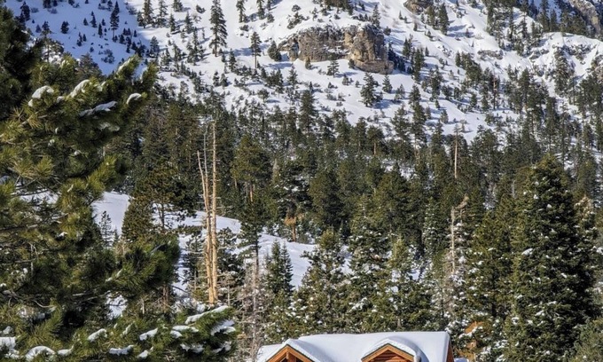 Mount Charleston Cabin | Luxury Cabin on Mount Charleston