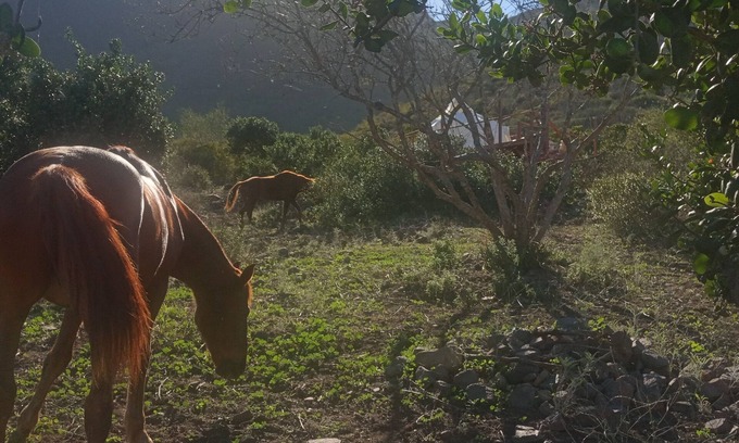 Cabo Punta Banda RV Rental | Luxury Stargazing Glamping, private deck, eco bath. Pets welcome.