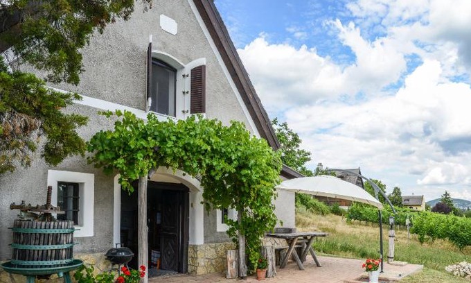 Aszofo House | Máli Pince