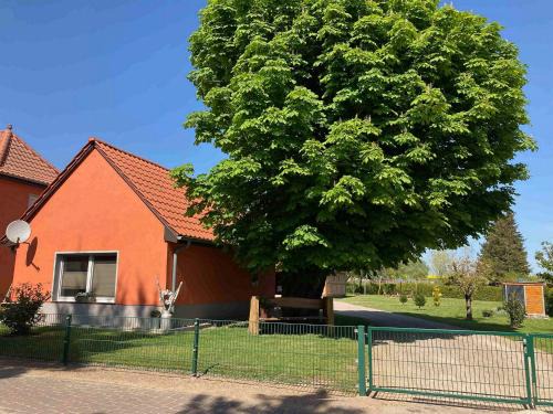 Muritz House | Müritzurlaub an der Kastanie in Sembzin